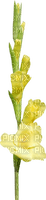 Fleurs jaune - безплатен png