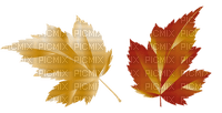 Kaz_Creations Autumn Fall Leaves Leafs - ücretsiz png