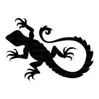 black lizard - ücretsiz png