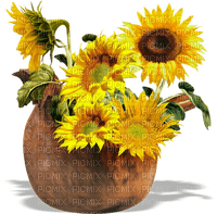 Sunflowers 3 - png ฟรี