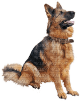 Kaz_Creations Dog Pup Dogs 🐶 - 無料png
