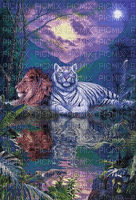 tiger - Free animated GIF
