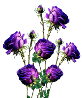 Flores rosas - ücretsiz png