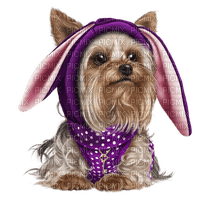 Kaz_Creations Dogs Dog Pup 🐶Colours - png gratis