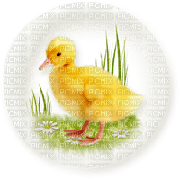 soave deco   easter chick bubble grass flowers - gratis png
