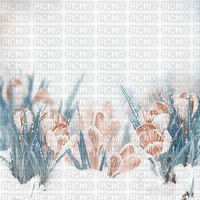 Y.A.M._Spring background - Безплатен анимиран GIF