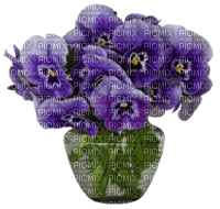Bouquet de pensées - PNG gratuit