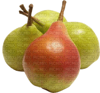fruit - png gratis