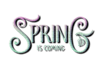 kikkapink spring is coming text - nemokama png