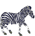 zebre - Gratis animeret GIF