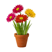 Maceta de flores - 免费PNG