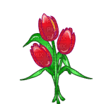tulips&heart - Animovaný GIF zadarmo