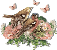 fåglar-blommor--birds-flowers - ücretsiz png