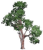 arbre - GIF animado grátis