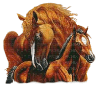 caballo - Ilmainen animoitu GIF