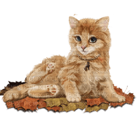 Katze cat Herbst - gratis png