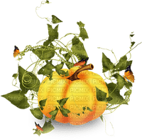 soave deco autumn pumpkin thanksgiving - бесплатно png