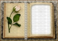 frame-background-book-rose - png ฟรี