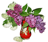 Bloemen en planten - kostenlos png