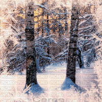 Winter - 無料のアニメーション GIF