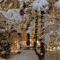 winter snow trees animated - GIF เคลื่อนไหวฟรี