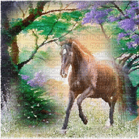 pferd horse milla1959 - GIF animé gratuit