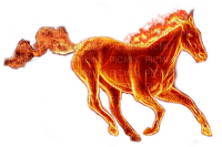 fire horse2 - gratis png