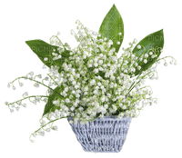 Kaz_Creations Deco Plant Flowers - nemokama png