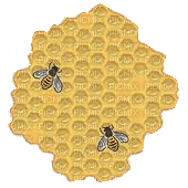abeille - безплатен png