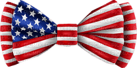 Indepedence Day Usa - Bogusia - PNG gratuit