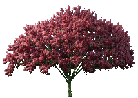 treeGS - Безплатен анимиран GIF