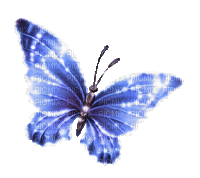 Y.A.M._Fantasy butterfly blue - GIF เคลื่อนไหวฟรี