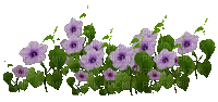 fleur violette.Cheyenne63 - Animovaný GIF zadarmo