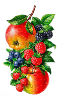 Y.A.M._Summer fruit decor - 免费PNG