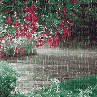 soave background animated tree flowers park rain - Bezmaksas animēts GIF