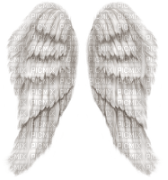 angel wings - png gratis