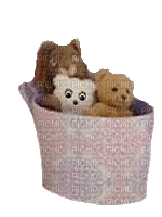 Teddy's in Basket - GIF animado gratis