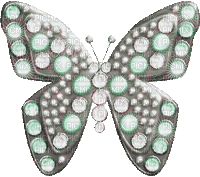 Y.A.M._jewelry butterfly - GIF animado gratis