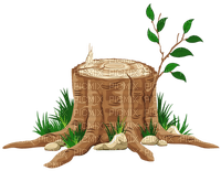 Tree stump - bezmaksas png