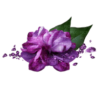 kikkapink gems gem purple flowers - 無料png