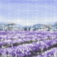 Glittery Lavender Field - GIF animé gratuit
