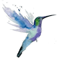 Hummingbird - Free PNG