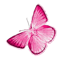 Butterfly.Pink - ilmainen png