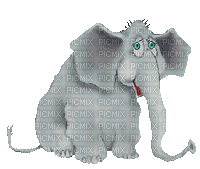ani-elefant-grå-födelsedag-försenat grattis - Free animated GIF