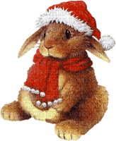 Conejo en navidad - png gratuito
