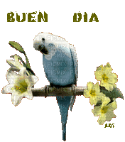 BUEN DIA - Безплатен анимиран GIF
