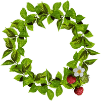 _cadre cercle vert décoration plantes fruits feuille-tube