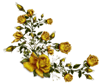 gold rose  dubravka4 - PNG gratuit