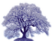 Rena Winter Tree Baum - png ฟรี