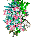 nbl-flower - Ilmainen animoitu GIF